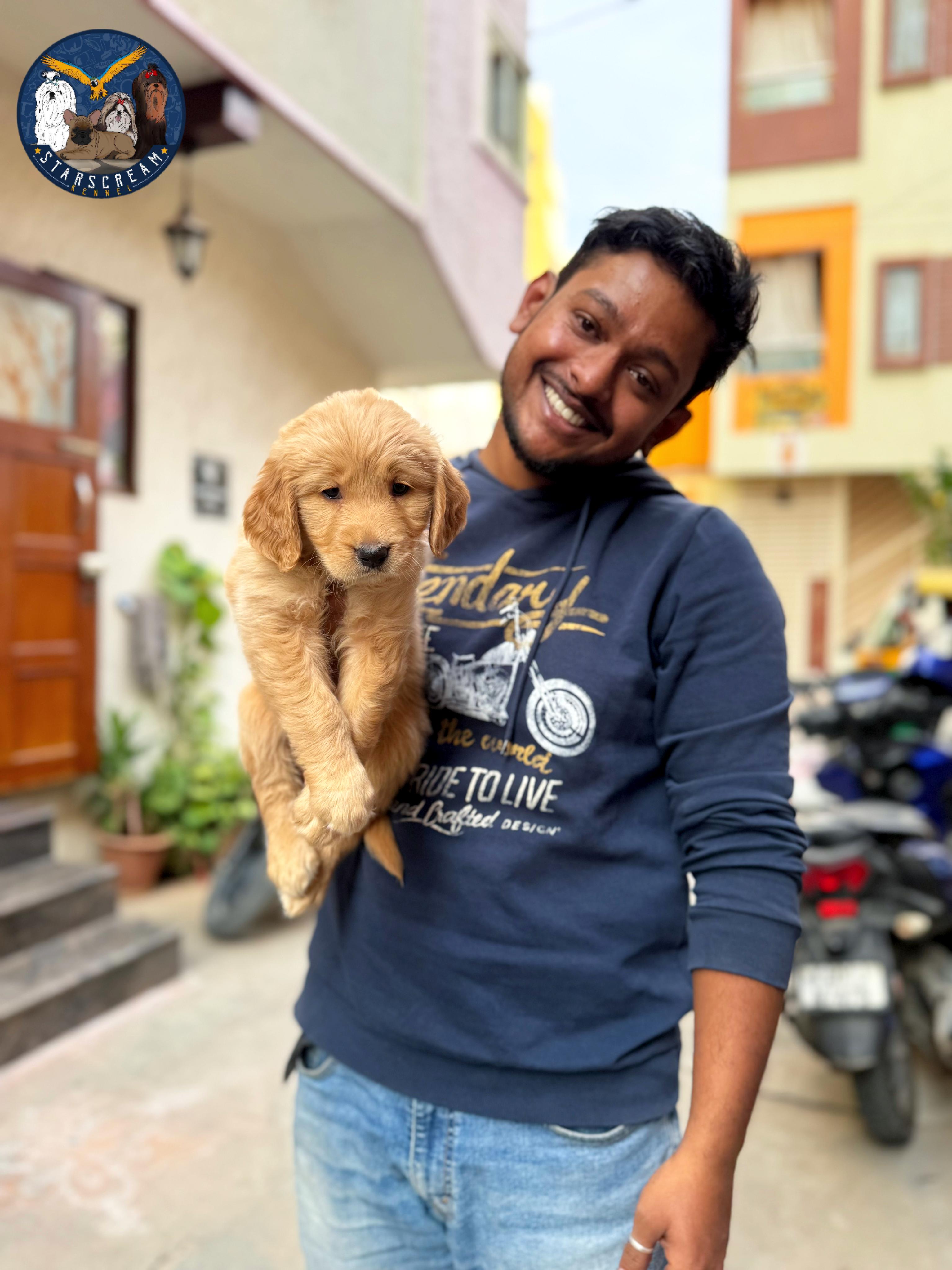 with Golden retriever