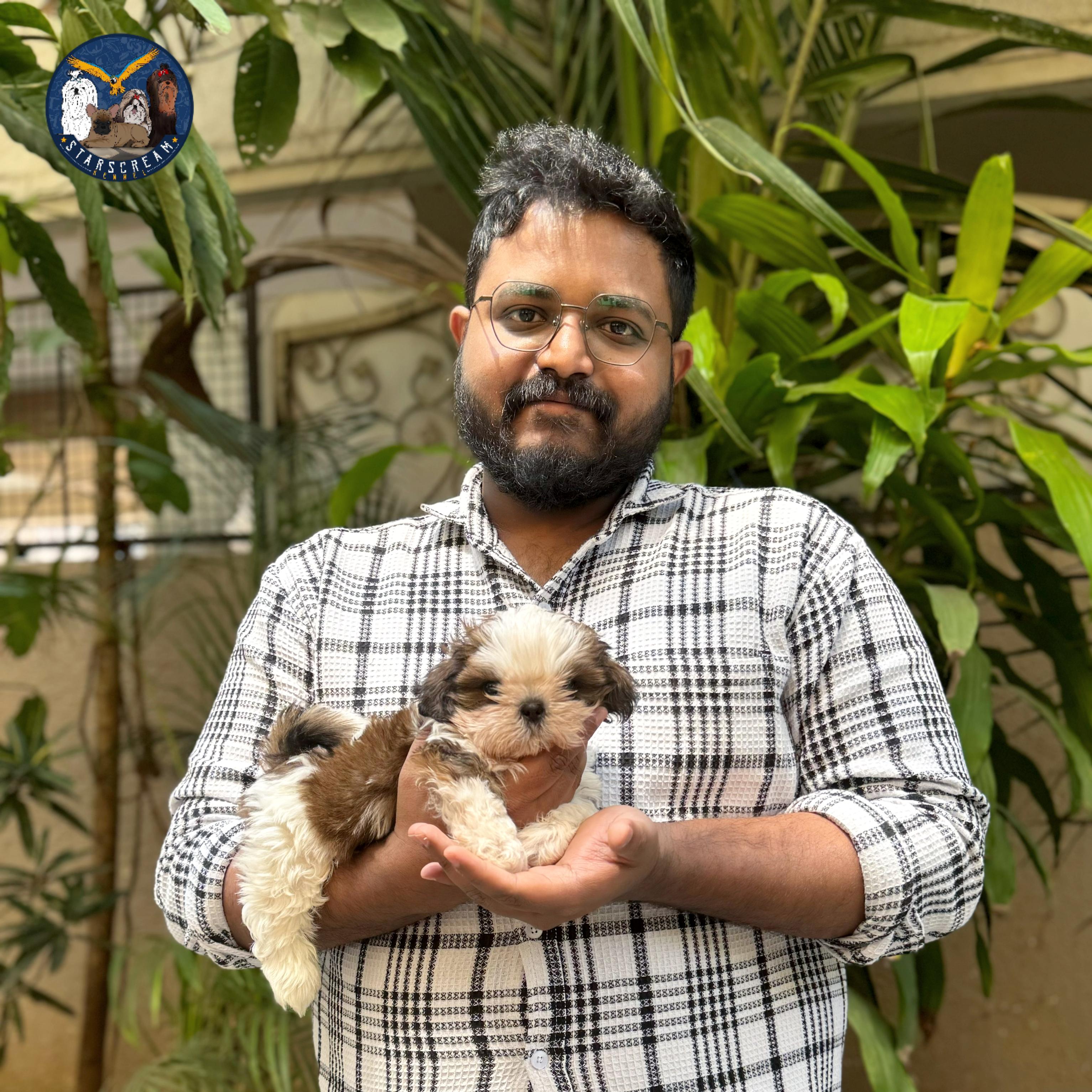 with Shih Tzu